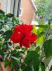 Messenger_creation_1551D5A1-3B05-4924-8E98-FF89F921B87D