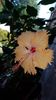 Messenger_creation_709B7B69-0AA4-452C-B5EF-56297CEE7C3D