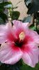 Messenger_creation_EFFCC0D7-9103-481E-96E8-BA40B2F46618