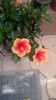 Messenger_creation_8DDADAC8-05B2-4DC0-BDF2-7EA1AE74DEEA