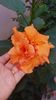 Messenger_creation_3105A85C-95DB-4C2C-A257-3540A33F0137
