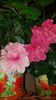 Messenger_creation_E2AF9C43-9219-451B-BDE2-83C53C7332BE