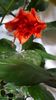 Messenger_creation_930DA14C-A303-4B51-B061-442407F2051B