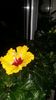 Messenger_creation_5C10FF08-6C23-4075-9AE3-CBF4E076746C