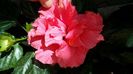 Messenger_creation_EC5BC408-F3DC-4566-B28E-D3D3EBCC7F74