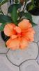 Messenger_creation_593C143A-A8FC-4468-B9EB-86C088405DCD