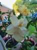 Messenger_creation_CDF3284C-4364-4322-A163-D2FA01195E30