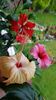Messenger_creation_DED5434E-C23E-4413-A4B2-6B853AA697D6