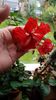 Messenger_creation_488754FB-AF83-4D78-95B8-D02116A0498C