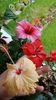 Messenger_creation_94AB3FA1-E29E-46D3-BBAD-FA6F788DF666