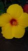 Messenger_creation_B59C8767-A234-47AE-A965-99A2883EEF25