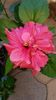 Messenger_creation_3D3CC183-9916-47B2-BE5A-DF327EF1C718