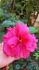 Messenger_creation_369F9330-94D0-4FA2-9912-CBDFE3A94E6A