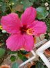Messenger_creation_C2394750-E6EA-4A39-8852-EABFC67AE236