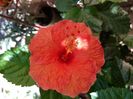 Messenger_creation_E2778BD0-B465-4595-9AA5-6F57CE053F39