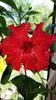 Messenger_creation_173515D7-49AA-4145-9DF8-A1DA3BB4205D