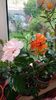 Messenger_creation_A0B721FB-6B14-4166-BE33-6039B787775E