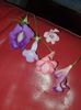 Messenger_creation_B1C82689-78B5-4128-975C-D55C6480E91C
