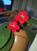 Messenger_creation_468C6BB2-29AF-4297-B104-28DD9B9290C9
