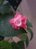 Messenger_creation_6D525710-3711-44FF-B665-7BBFEEE07307