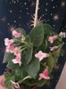 Messenger_creation_A4C2C624-1FB3-4035-8124-42B3CAF6E1FC