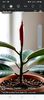 Screenshot_20251022_064149_Facebook