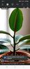 Screenshot_20251022_064144_Facebook