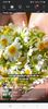 Screenshot_20251023_060736_Facebook