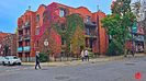 Montreal--Old Town (Plateau Mt.Royal 3