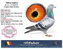 TRIPLE BARCA