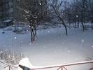 gradina blocului