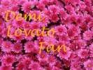 demi-lovato-fan-demi-lovato-10067160-120-90