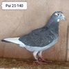 Pui 25-140