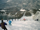 Mogosa - panoramic view from the sky track
