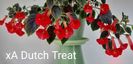 xA Dutch Treat