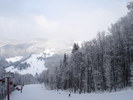 Picture 1258