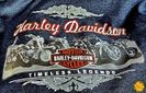 Harley Davidson jacket
