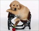caine_46[1]
