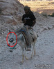Noul model BMW