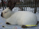 Picture 112