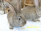 Picture 127