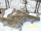 Picture 124