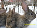 Picture 125