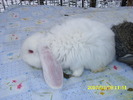 Picture 133