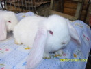 Picture 145