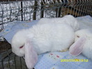 Picture 140