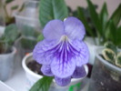 DSCF6631