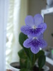 DSCF6623