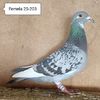 Femela 25-203