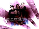 Tokio-Hotel-Wallpapers-3-tokio-hotel-9214336-1024-768